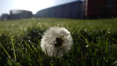 Прикрепленное изображение: DSC04021_edit.jpg